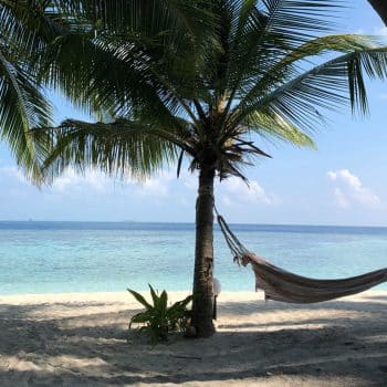 Mockupancy: How Control4 Keeps Your Home Safe While You're Away